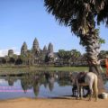 【カンボジア観光】おすすめスポット5選！時差・通貨なども解説
